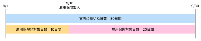 Frame 1 (8).png